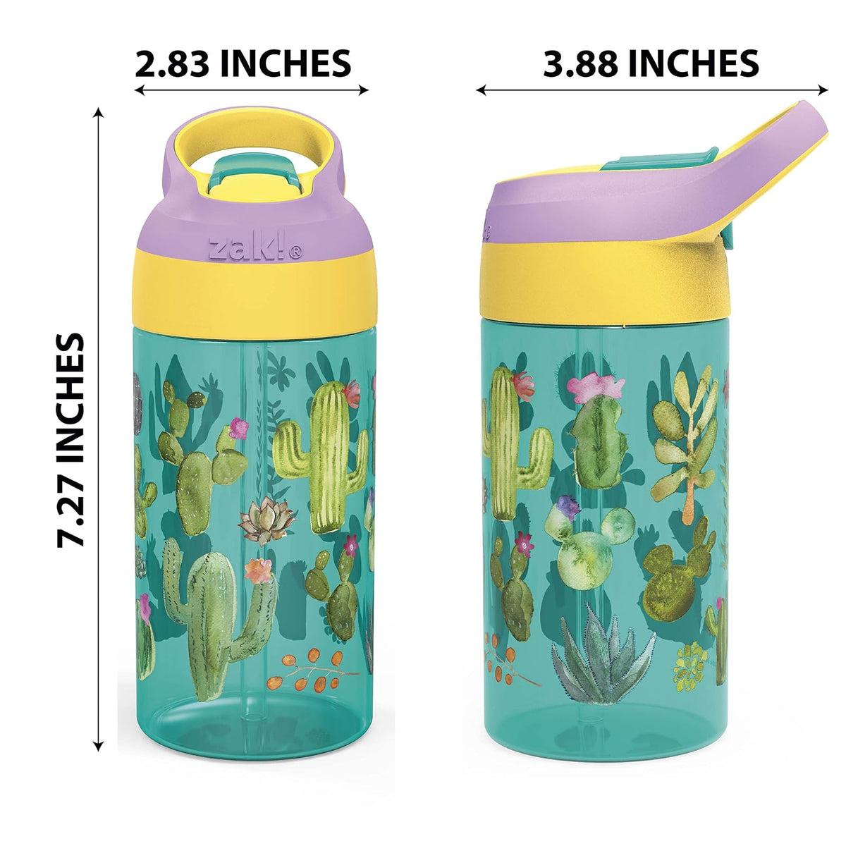 Zak Designs Riverside Desert Life - Botella de agua para niños de 16 onzas con popote y lazo de transporte integrado, hecha de plástico duradero, diseño a prueba de fugas para viajes, juego de 2 unidades
