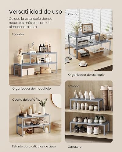 SONGMICS Juego de 2 Especieros, Extensibles, Organizador de Cocina, Estante de Cocina, Organizador de Armario, Metal, Plateado MKCS402FG01