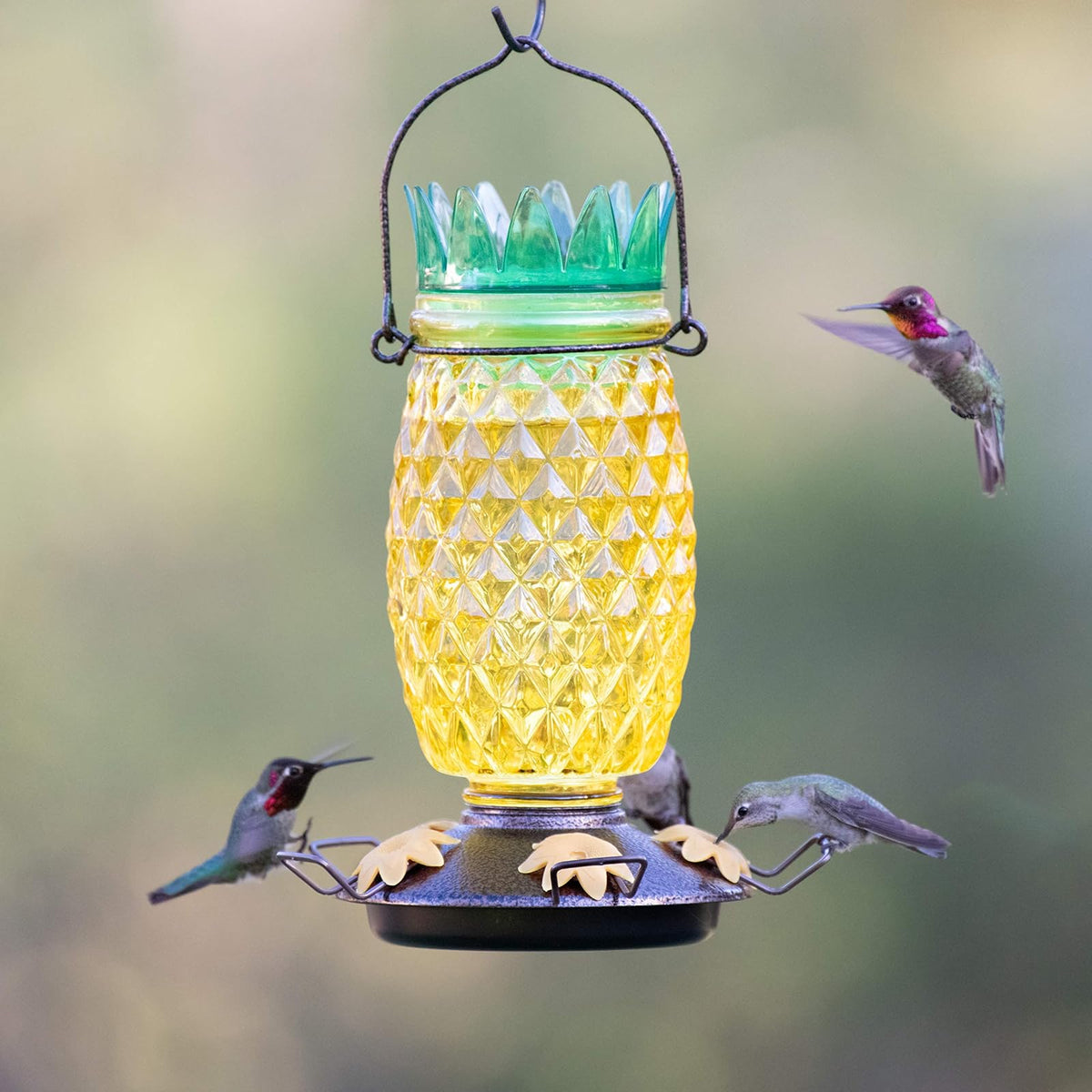 Perky-Pet 9110-2 - Alimentador de colibrí de Vidrio con Relleno Superior de piña - 28 onzas
