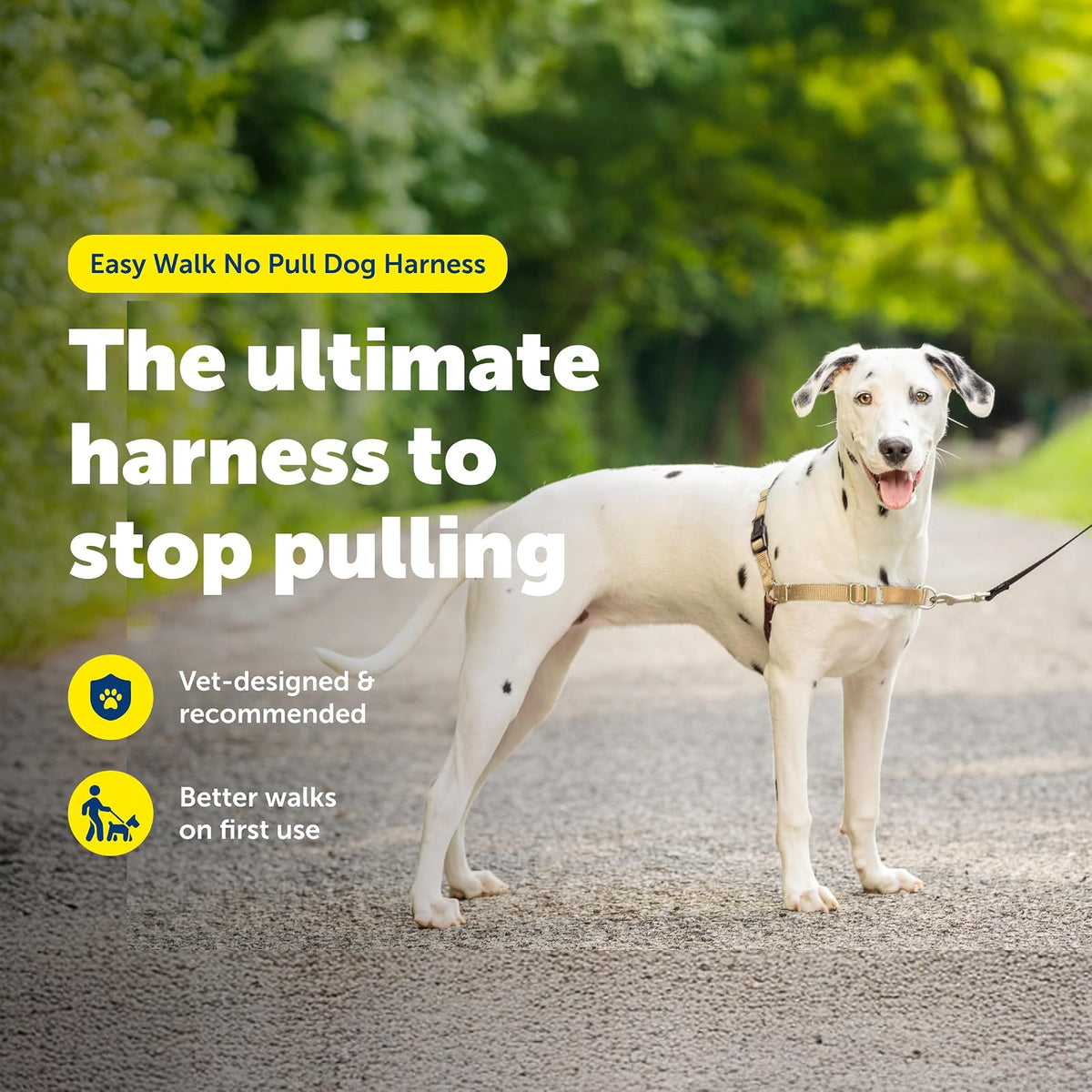 PetSafe Easy Walk arnés para Perros, Anti tirones, Beige/marrón, M