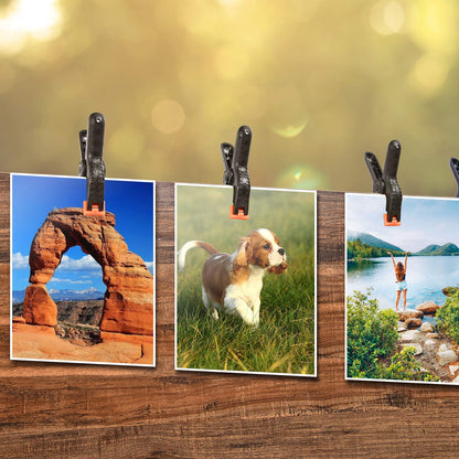 Yesker Abrazaderas de Resorte para Telón de Fondo - Paquete de 8, Clips Resistentes de Nailon de 4.4 Pulgadas para Soporte de Fondo, Estudio Fotográfico, Fotografía, Pantalla Chromakey, Trabajo en