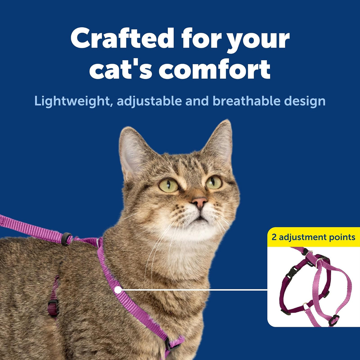 PetSafe Come with Me - Arnés de Gatito y Correa elástica, arnés para Gatos, NA, Rosa DE PULSERO/Burgundy, Mediano