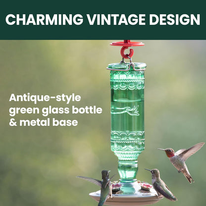 Perky-Pet 8108-1SR - Botella de Vidrio Antiguo para colibríes, decoración de jardín al Aire última intervensión, 10 onzas