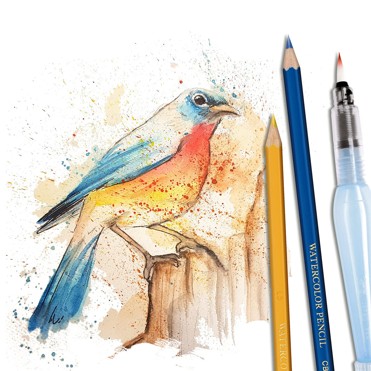 Pentel Arts Lápices de Colores Acuarelables, Mina Gruesa, Estuche con 36 Piezas, CB9-36-EST