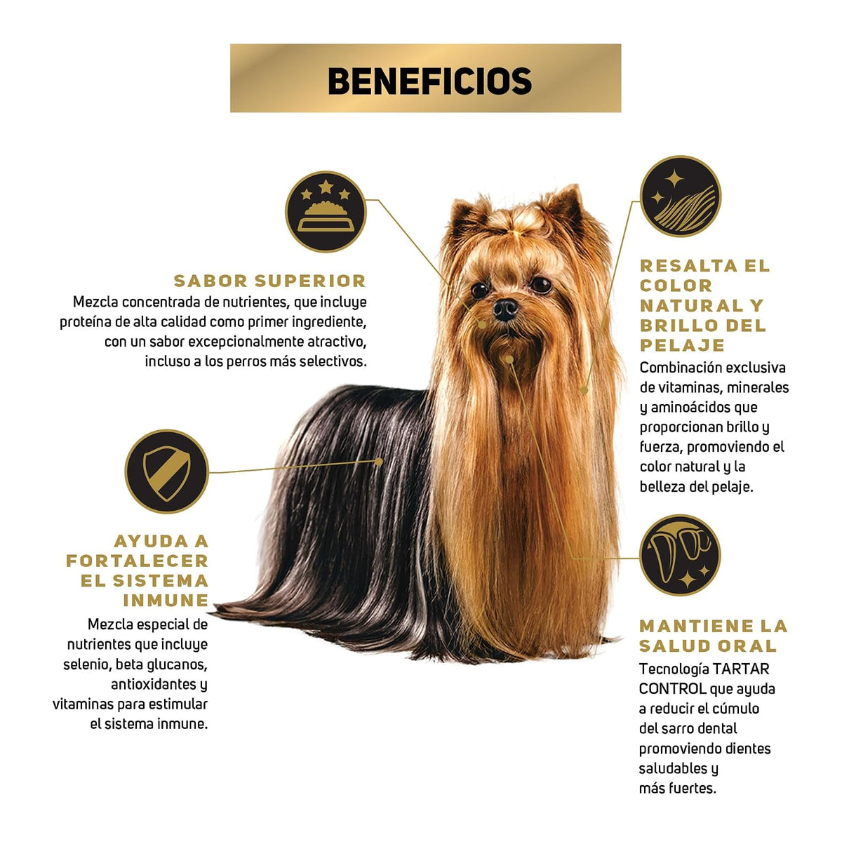 Purina Pro Plan Exigent Adulto Todos los Tamaños Sabor Pollo 7.5Kg