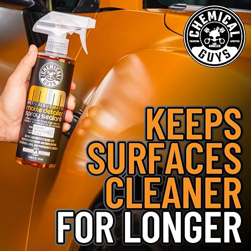 Chemical Guys Detallador Mate Meticuloso y Sellador en Spray para Acabados Satinados y Mates Nítidos, (Seguro para OEM, Vinilo y Superficies Pintadas Mate) 946 ml