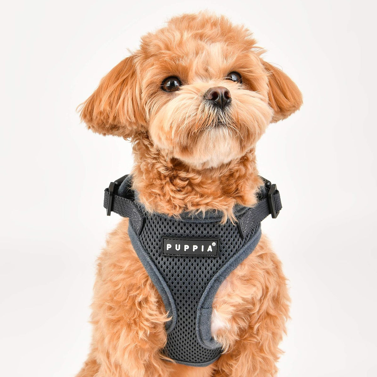Puppia Auténtico arnés RiteFit con Cuello Ajustable, Rojo, Extra Grande