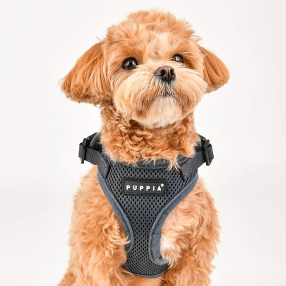 Puppia Auténtico arnés RiteFit con Cuello Ajustable, Rojo, Extra Grande
