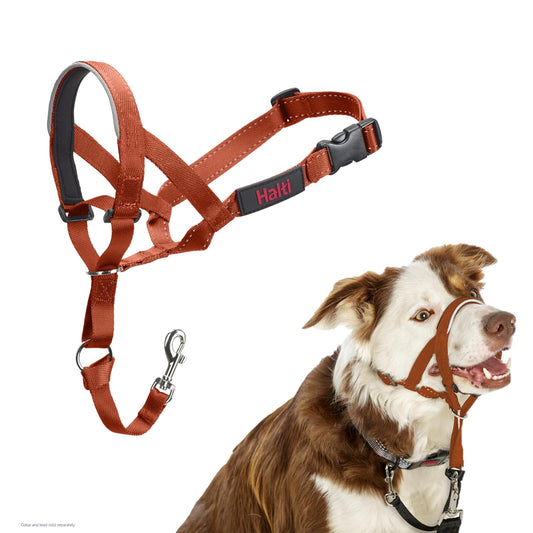 HALTI - Collar para Evitar Que tu Perro Tire de la Correa. Ajustable, Reflectante y Ligero, con Banda Acolchada para la Nariz. Collar de Entrenamiento para Perros medianos (tamaño 2, Naranja Quemado)