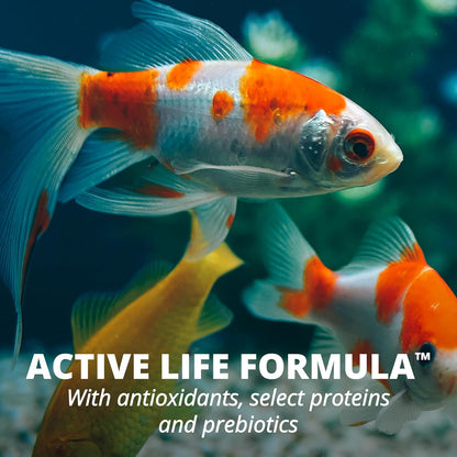 Tetra Tetramin Hojuelas para Goldfish 62g, Alimento Completo con ProCare, Mejora Coloración Natural, Fácil Digestión