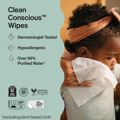 The Honest Company Designer Baby Wipes, Rose Blossom, 288 Count
