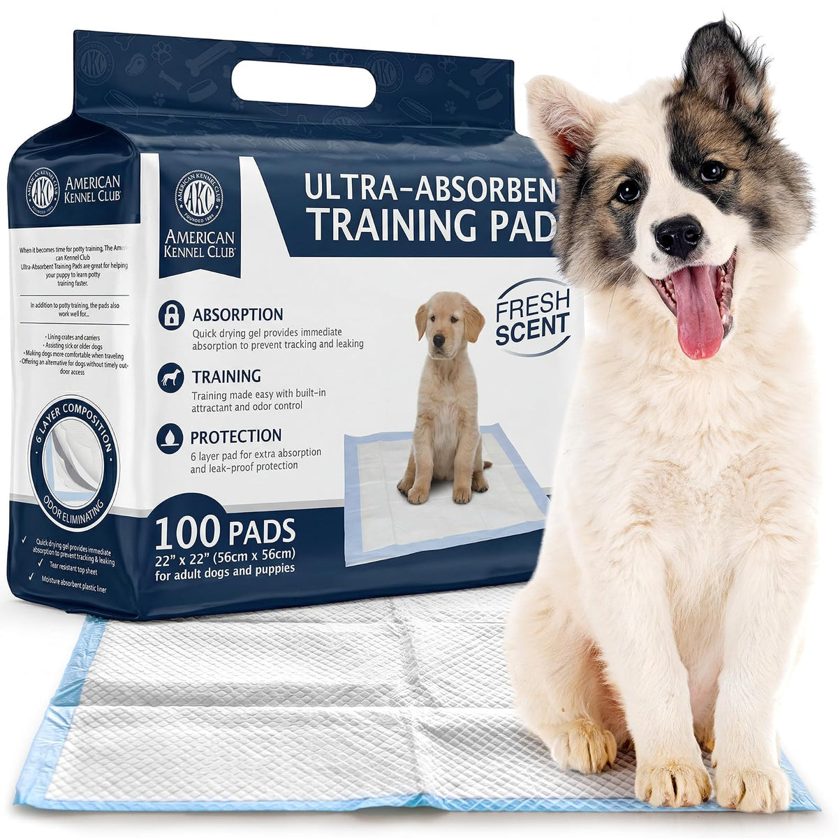 AKC Tapetes Entrenadores para Perro, Aroma Fresco, 22 x 22 Pulgadas - Aroma fresco - 22" x 22" - Pack of 100