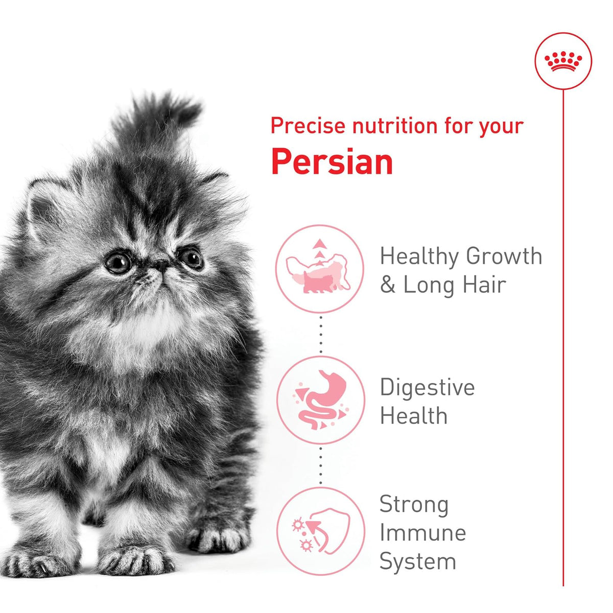 Royal Canin Alimento seco para gatos adultos para gatitos persas de raza felina, 3 libras
