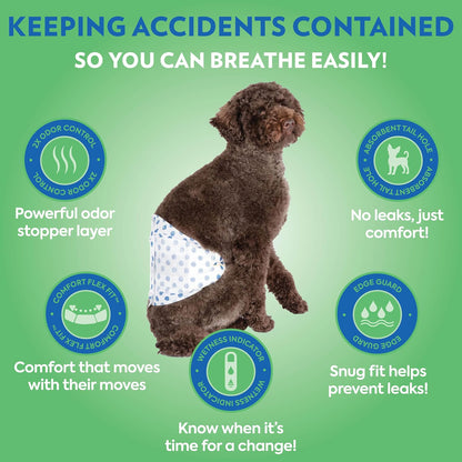 FUERA Pañales desechables para perros machos de Pet Care | Vendas absorbentes masculinas con ajuste a prueba de fugas | Extra pequeño/pequeño, 32 unidades