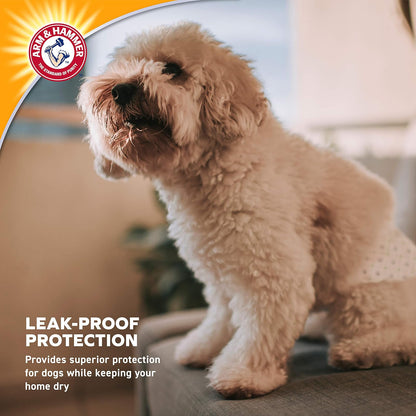 Arm & Hammer, Pañal para Perros Absorbentes XS 12 Pzas