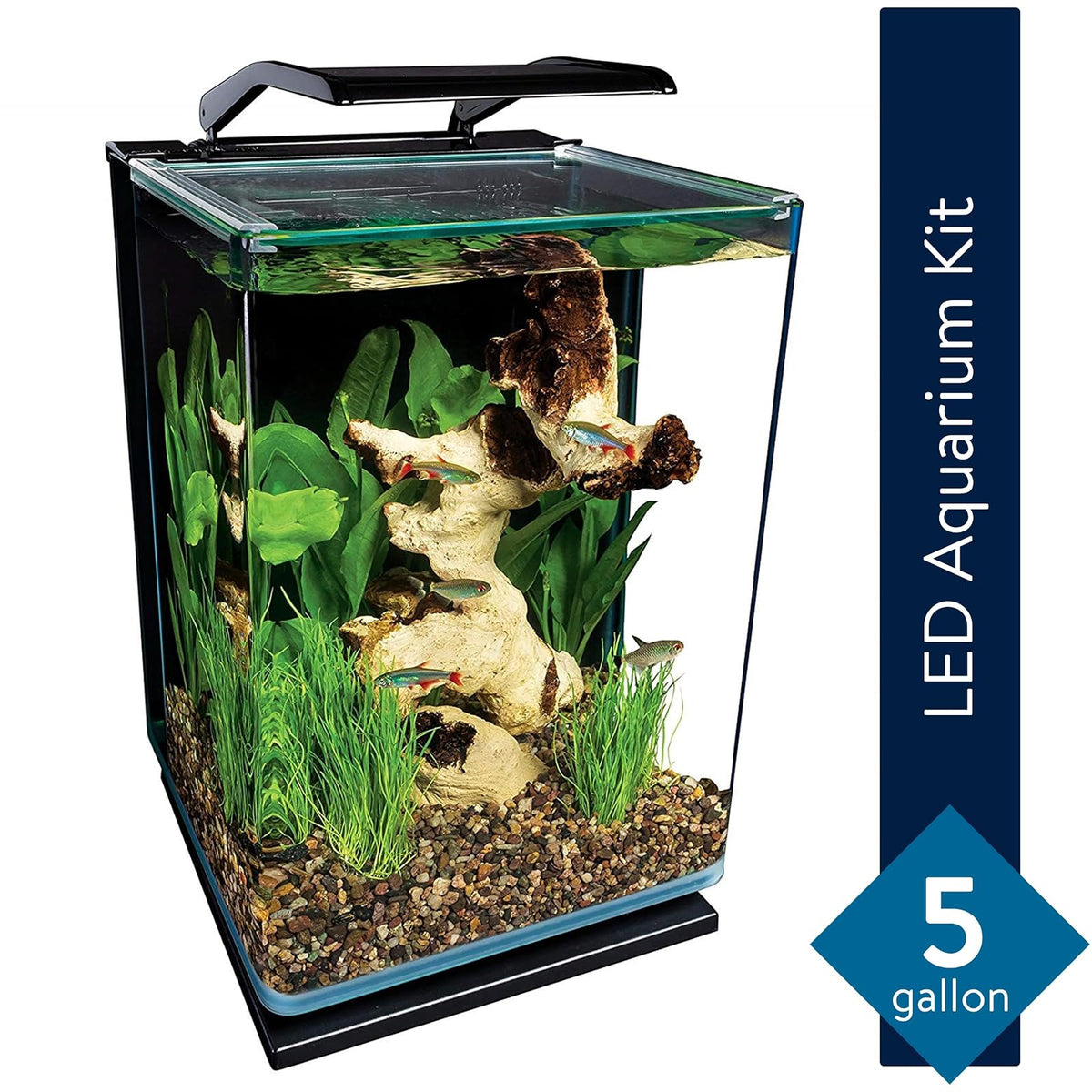 Marineland ML90609 Portrait Aquarium Kit, 5-Gallon