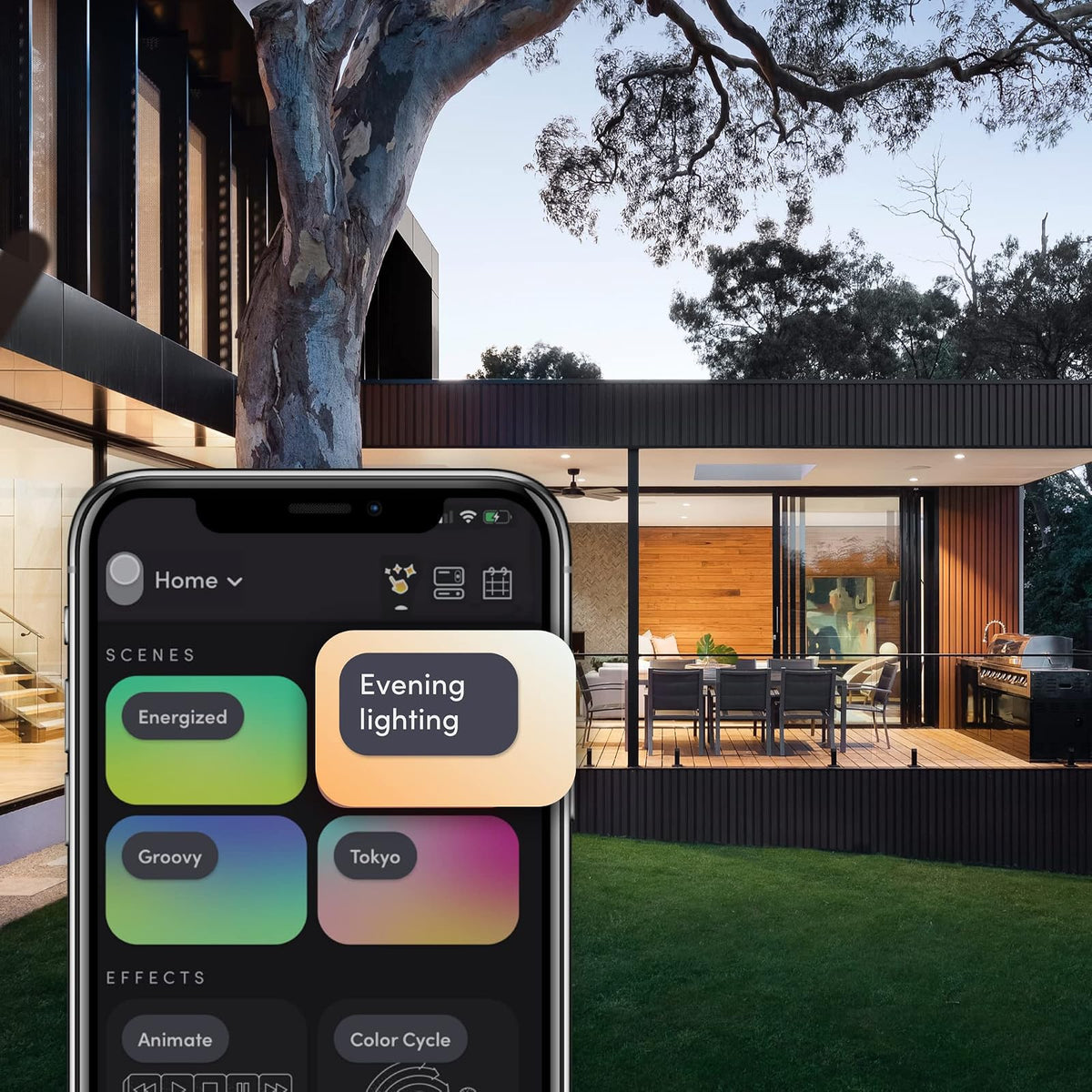 LIFX Color, BR30 1100 lúmenes, bombilla LED inteligente Wi-Fi, miles de millones de colores y blancos, no requiere puente, funciona con Alexa, Hey Google, HomeKit y Siri (2 unidades).