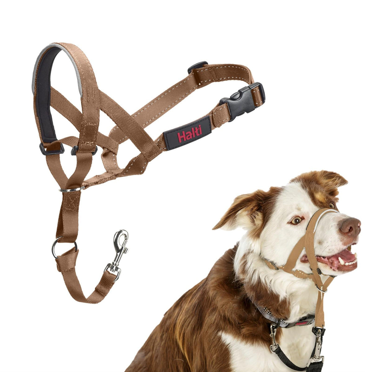 Halti Collar de Cabeza para Perro, Antitirones, Ajustable - Desert Sand - 2