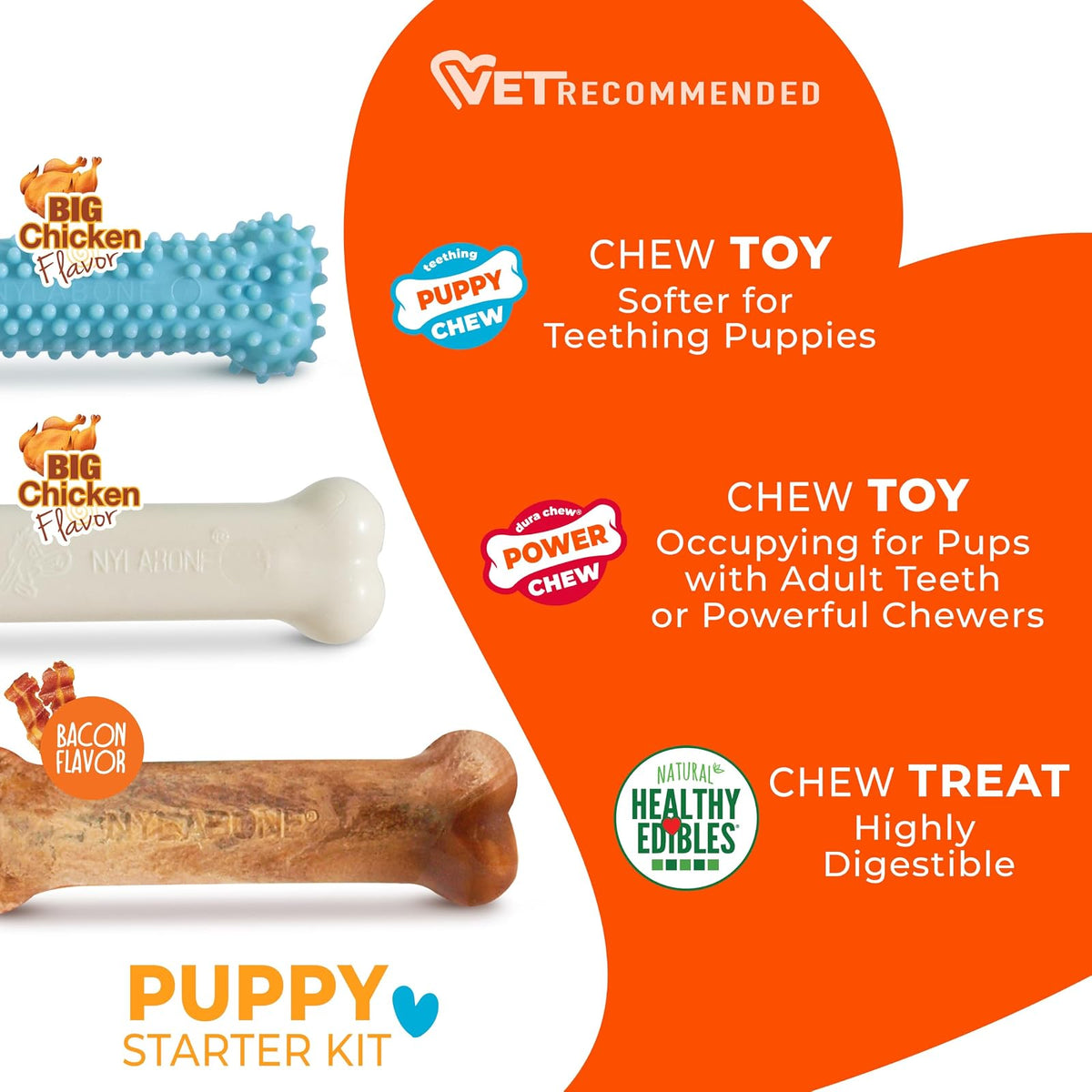 Nylabone Puppy Chew Variety Toy & Treat Triple Pack, Chicken|Lamb|Apple, 3Count, Regular, Light Blue
