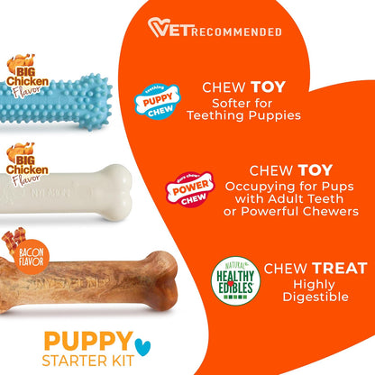 Nylabone Puppy Chew Variety Toy & Treat Triple Pack, Chicken|Lamb|Apple, 3Count, Regular, Light Blue