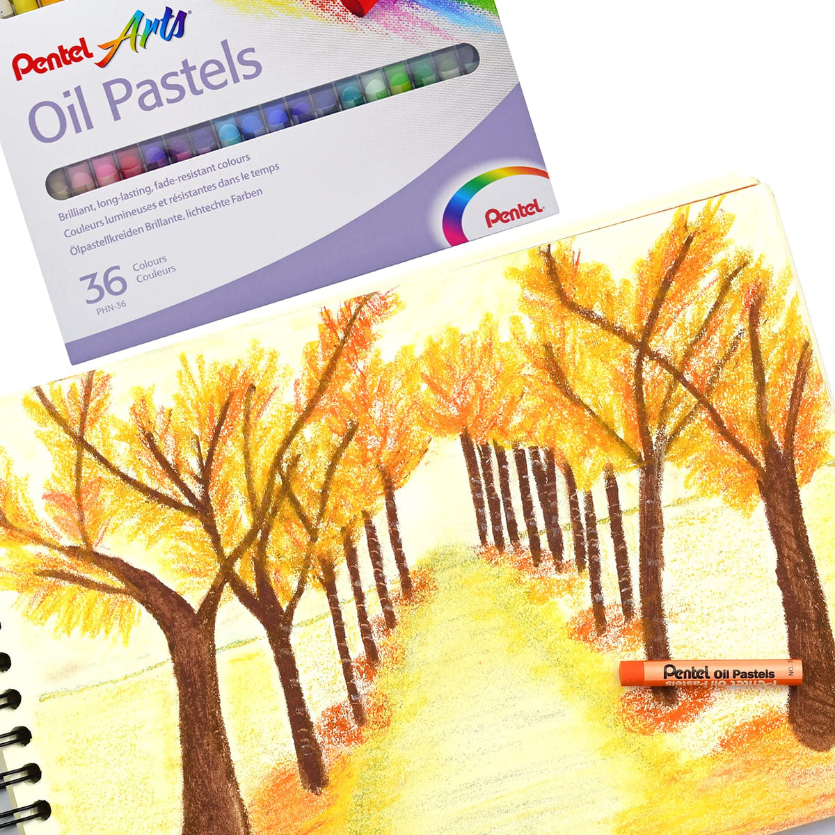 Pentel de México Colores Pastel Aceite Caja con 36 Piezas- PHN-36