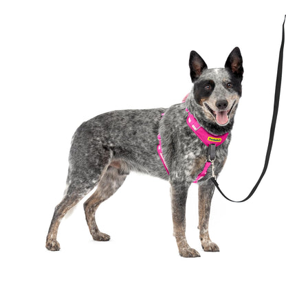PetSafe Easy Walk - Arnés para Perro cómodo sin tirones, Acolchado de Cuerpo Completo, Mejores Paseos en el Primer Uso, 5 Puntos de Ajuste Mediano/Grande, Rosa