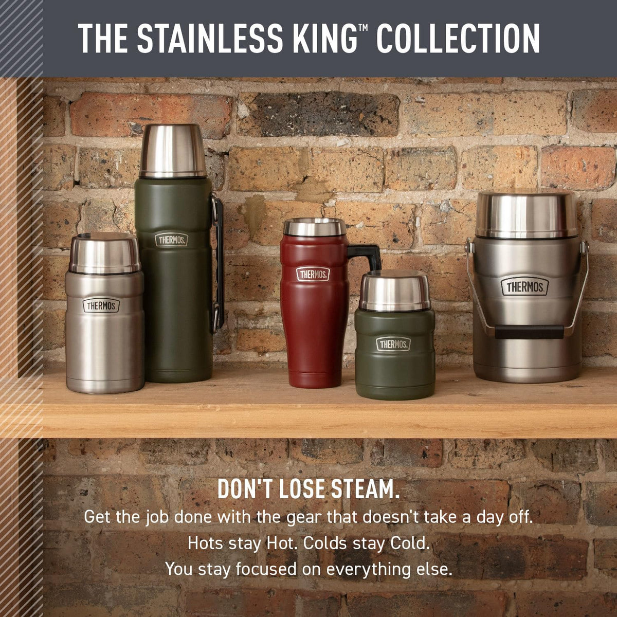 THERMOS Stainless King Taza de viaje aislada al aspiradora, 16 onzas, rojo rústico