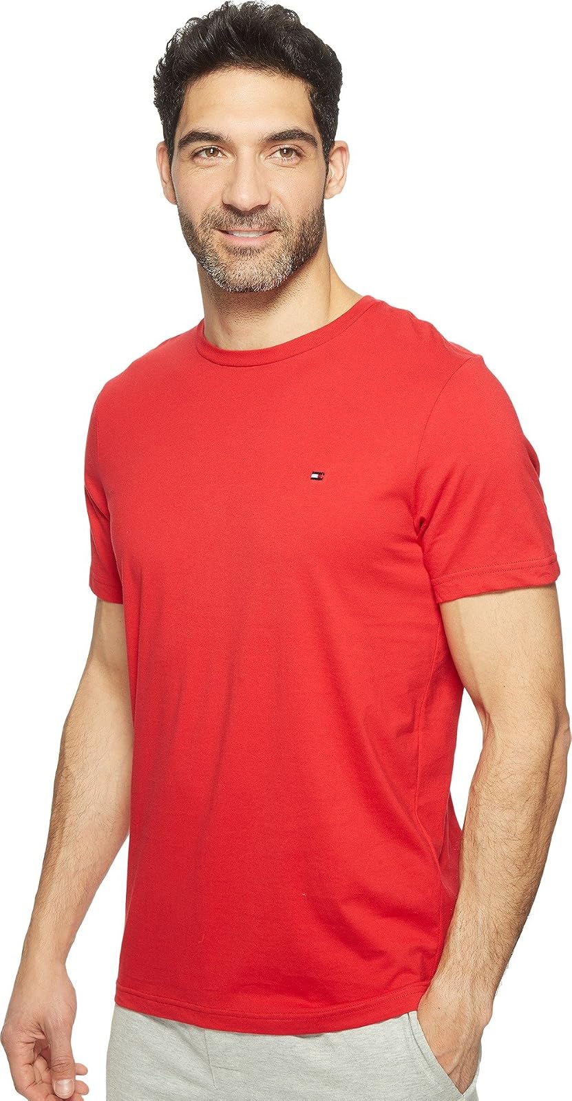Tommy Hilfiger Wing Tip Crew Neck Short Sleeve Flag Logo T-Shirt