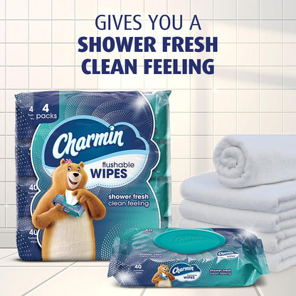Charmin Flushable Wipes, 4 packs of 40 Flushable Wipes, 160 Total Wipes (Packaging May Vary)