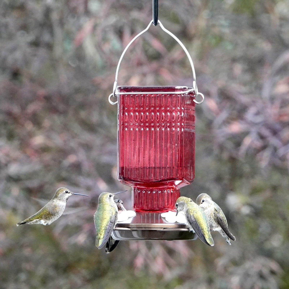 Nature's Way - Alimentador de colibrí de Vidrio Colgante para decoración al Aire última intervensión, 22 onzas de Capacidad, 4 Puertos Flexibles fáciles de Limpiar, Color Rojo
