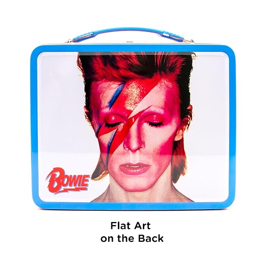 AQUARIUS David Bowie Aladdin Sane Fun Box - Caja de almacenamiento resistente con mango de plástico y cubierta frontal en relieve, producto oficial y regalo coleccionable