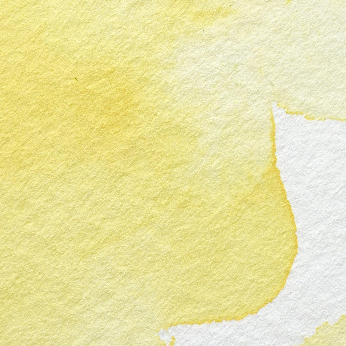 Winsor & Newton Professional Pintura a Base de Agua, Amarillo (Winsor Yellow 730), 5 ml Tubo