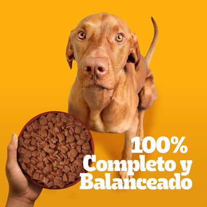 Pedigree Pancita Saludable Sobres para Perros Adultos Sabor Salmón y Arroz 24 Sobres 100g c/u