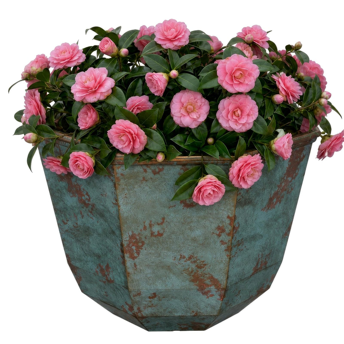 Macetas clásicas Shaina para el hogar y el jardín, macetas Ligeras para Interiores y Exteriores, macetas de Resina Resistentes a los Rayos UV, macetas para Flores y Hierbas (Cobre pátina de 15