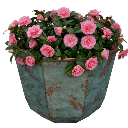 Macetas clásicas Shaina para el hogar y el jardín, macetas Ligeras para Interiores y Exteriores, macetas de Resina Resistentes a los Rayos UV, macetas para Flores y Hierbas (Cobre pátina de 15