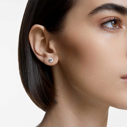 Swarovski Stilla Kollektion