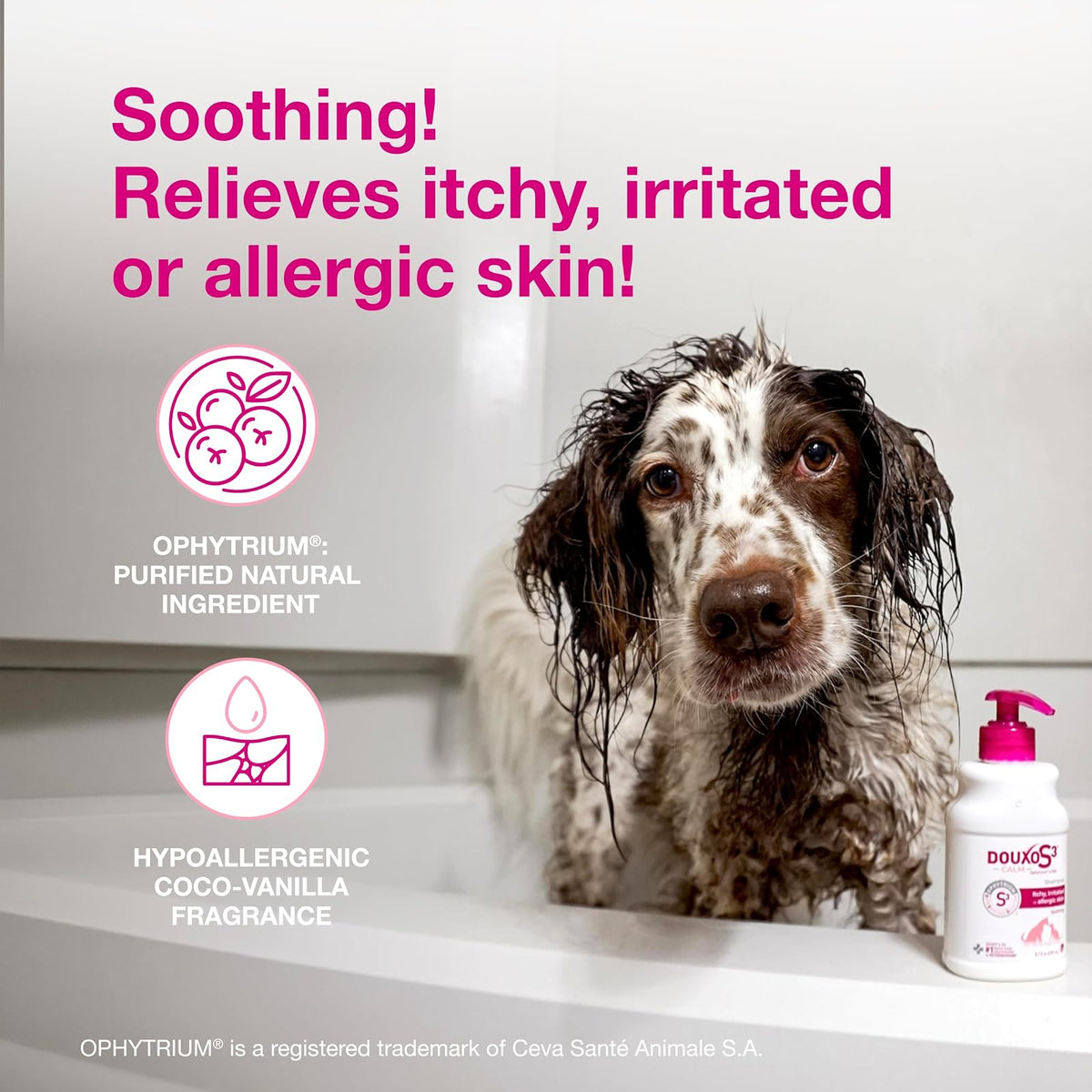 Champú calmante Douxo S3 6,7 oz (200 ml) - para Perros y Gatos con Piel alérgica y con picazón