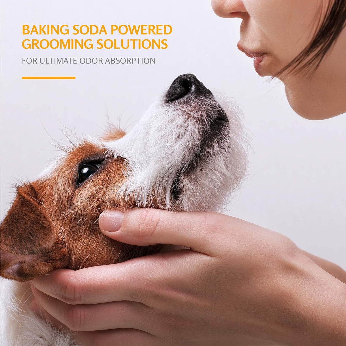 Champú de avena Arm & Hammer para perros | El mejor champú de avena para todos los perros y cachorros, 16 onzas, aroma a vainilla y coco