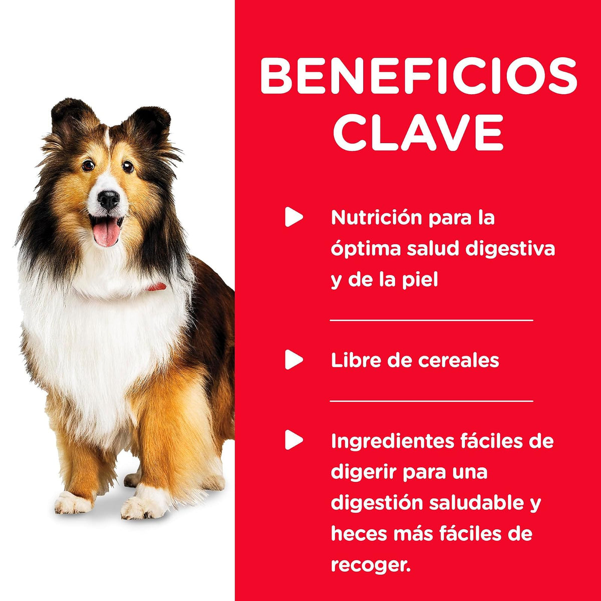 Hill's Alimento Húmedo Perro con Piel Y Estomago Sensible 12 Pack 363G | Alimento húmedo Hill's para perro, piel y estómago sensible, alta digestibilidad, barrera cutánea sana