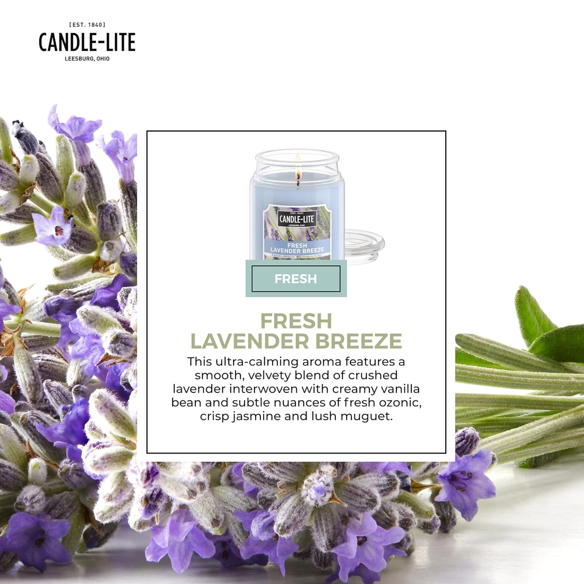 Velas perfumadas Candle-lite, brisa de lavanda fresca, tarro de 18 onzas, vertido con orgullo en los Estados Unidos, vela de aromaterapia, una sola mecha con 110 horas de tiempo de quemado, perfectas
