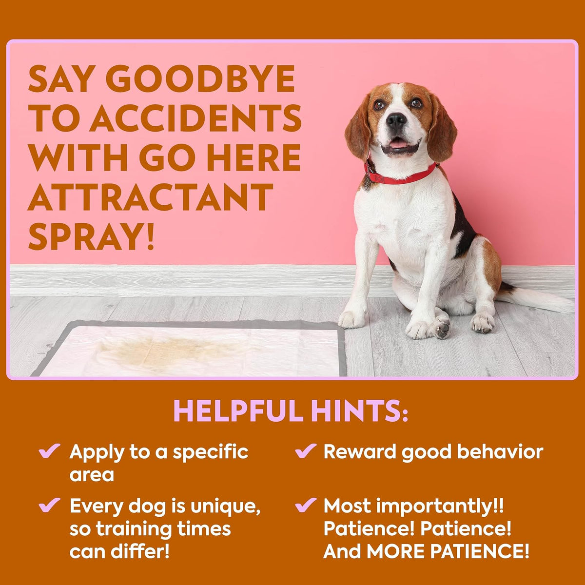 OUT! Pet Care Go Here Attractant Spray Bottle for Pets, 32-Ounce