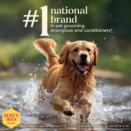 Burts Bees for Dogs - Spray desenredante natural con limón y linaza | Desenredador de piel de perro y cachorro, Natural Detangling Spray, 1 paquete
