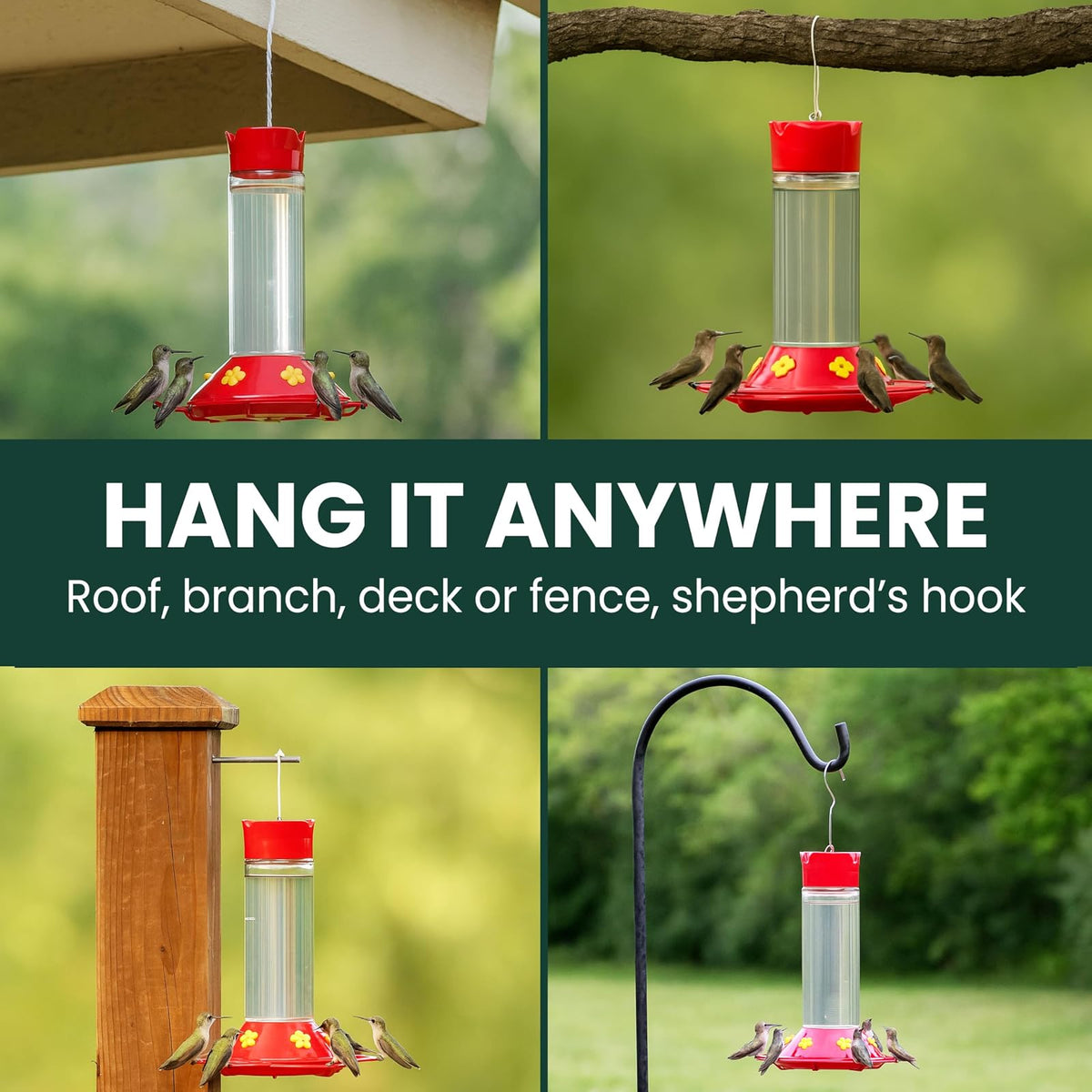 Perky-Pet 209B-1SR Nuestro Mejor alimentador de colibríes de Vidrio con Perchas, Foso de Hormigas Integrado y Protectores de Abejas, 30 onzas para decoración de jardín al Aire última intervensión