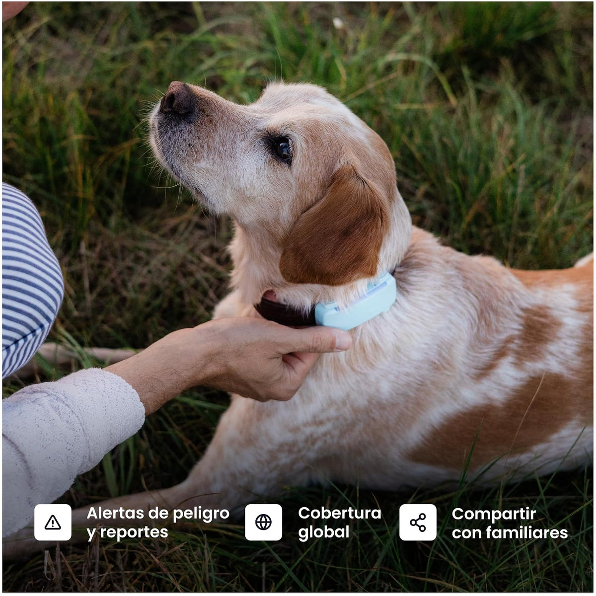 Tractive Rastreador GPS para Mascotas | GPS para Perro Inteligente con Valla Virtual | Monitoreo de Frecuencia Cardíaca y Respiratoria | Detección de Ladridos | Se Acopla al Collar (Menta)