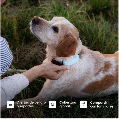 Tractive Rastreador GPS para Mascotas | GPS para Perro Inteligente con Valla Virtual | Monitoreo de Frecuencia Cardíaca y Respiratoria | Detección de Ladridos | Se Acopla al Collar (Menta)