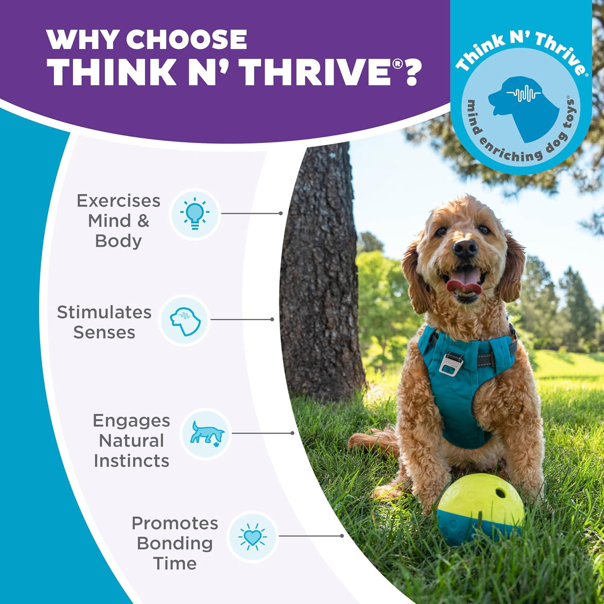 Nina Ottosson by Outward Hound Treat Tumble Interactive Treat Ball Dog Puzzle Dog Enrichment Dog Toy, Level 1 Beginner, Blue, Small