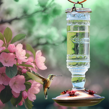 Perky-Pet 8107-2 Antique Bottle 10-Ounce Glass Hummingbird Feeder, Clear