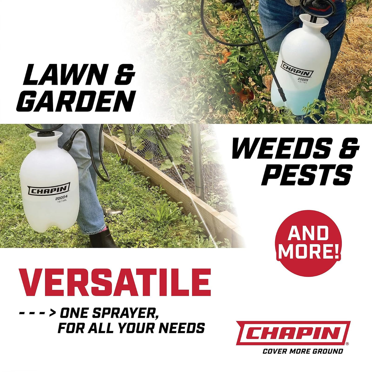 Chapin 22000 Made in USA Value Pack of 2 Units, 1 Gallon Lawn and Garden Pump Pressured Sprayer, for Spraying Plants, Garden Watering, Lawns, Weeds and Pests, Translucent White