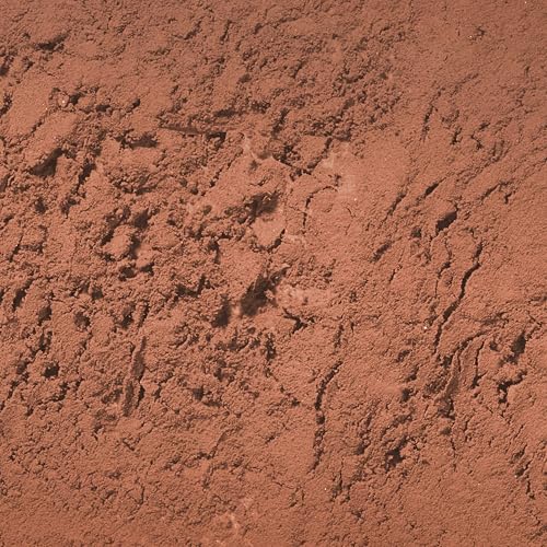 Palladio Polvo para Cejas Auburn - Suave y Natural, Compacto para Bolso o Viajes