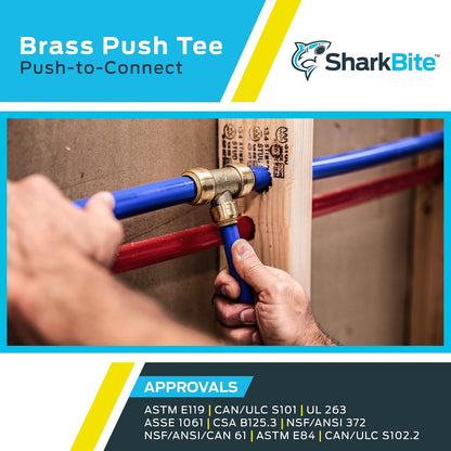 Cash Acme Sharkbite sin plomo Tee, 1-Inch by 1-Inch by 1-Inch